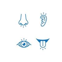 human senses icon vector