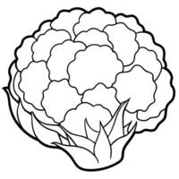 coliflor ilustraciones mejorar tu diseños con alta calidad gráficos vector