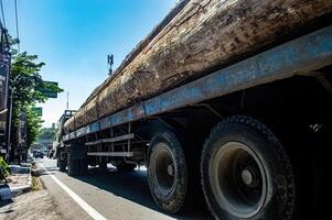 a trailer truck carrying large logs from the forest or a logging truck passing on an urban highway, Indonesia, 16 May 2024. photo