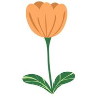 easter day element vector