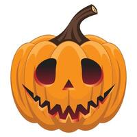 Halloween Pumpkin Illustration vector