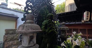 Fudo Myo-o Statue covered by moss in Hozenji Mizukake Fudoson Temple in Osaka video