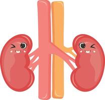 Cute Human Internal Organs Character. Illustration in Cartoon Design. vector