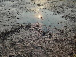 morning sun on agricultural land photo