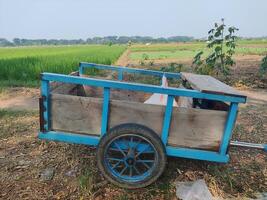 View of a cart for carrying crops photo