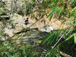 high angle view of river in the countryside in Surakarta, Indonesia photo