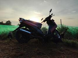 sunrise view over rice fields photo