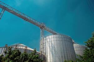 several giant silos in a flour mill photo