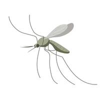 Small mosquito insect. Illustration in flat, simple, cartoon style vector