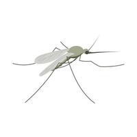 Small mosquito insect. Illustration in flat, simple, cartoon style vector