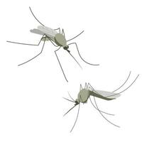 Small mosquito insect. Illustration in flat, simple, cartoon style vector