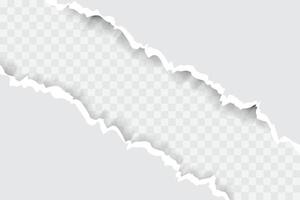 Torn paper edges on Gary background vector