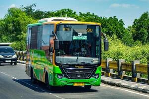 a small green bus called Trans Jatim for public transportation photo