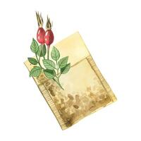 Tea bag with rose hips hand drawn in watercolor. Illustration. Tea bag with tea leaves and rose hips inside. Hand drawn watercolor graphic on white background. For printing, packaging, design vector