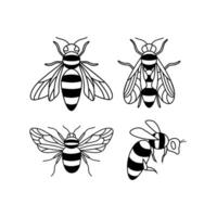 Set of flying honey bee illustrations vector