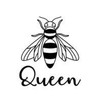 Bee queen inspirational quote with flying bee. vector