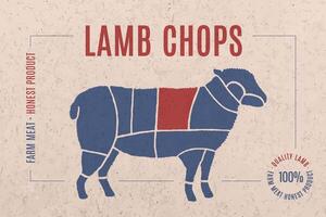 Label for meat with text Lamb Chops vector