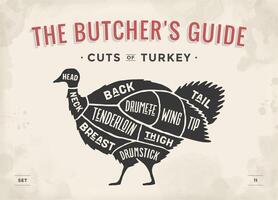 Cut of meat set. Poster Butcher diagram, scheme - Turkey vector