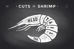 Cut of meat set. Poster Butcher diagram and scheme - Shrimp vector