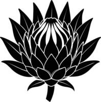 Rey protea flor silueta ilustración vector