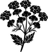 Yarrow flower Silhouette Design vector