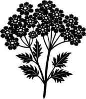 Yarrow flower Silhouette Design vector