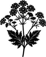 Yarrow flower Silhouette Design vector