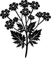 Yarrow flower Silhouette Design vector