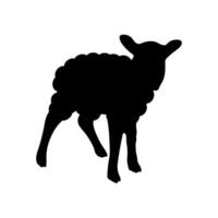 Baby Sheep silhouette on white board vector