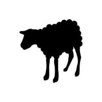 Standing sheep silhouette on white board vector