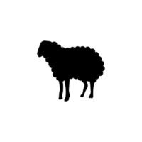 Baby Sheep silhouette on white board vector