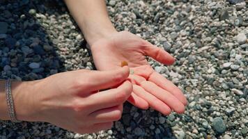 Finding Colorful Rocks At The Beach video