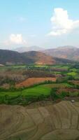 aéreo ver de montaña paisaje y arroz campos durante el seco temporada en Laos video