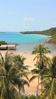 Aerial of beautiful tropical beach with coconut palm trees and turquoise sea video