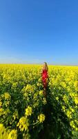 Caucasian woman walking through scenic yellow rapeseed field in slow motion video