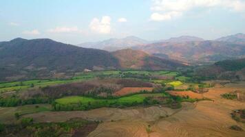 Antenne Aussicht von Berg Landschaft und Reis Felder während das trocken Jahreszeit im Laos video