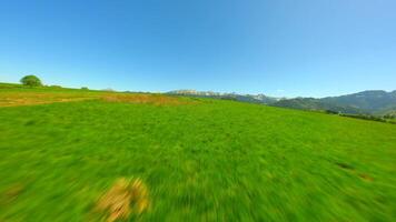 FPV flight over green meadow near the Tatra mountains in summer, Poland. video