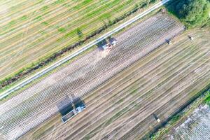 aerial drone view of a tractor and combine harvester in an agricultural field harvesting potatoes photo