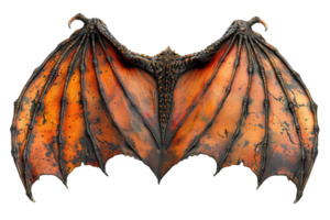 realistic dragon wings isolated on transparent background , png