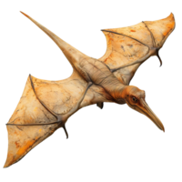 flying dinosaur isolated on transparent background ,pterodactyl , png