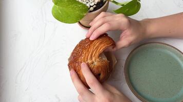 brechen ein frisch Croissant. jung Mädchen brechen ein köstlich Croissant beim ein Tabelle video