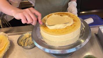 avvicinamento di donna l'applicazione frustato crema su strato torta. diffusione il torta con crema video