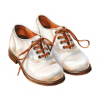 School Shoes Illustration png