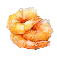 Tempura Clipart Illustration png