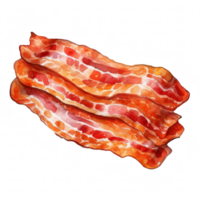 Bacon clipart illustrazione png