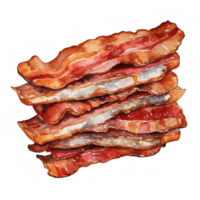 bacon ClipArt illustration png