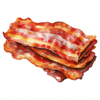 bacon ClipArt illustration png