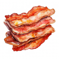 Bacon Clipart Illustration png
