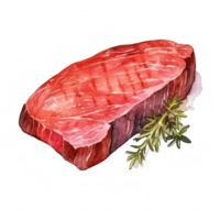 steak clip art illustratie png