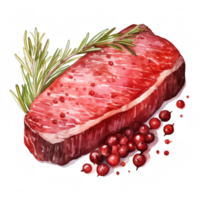 steak clip art illustratie png